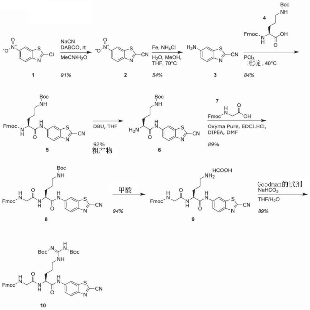 Novel chemiluminescent substrates for factor xa