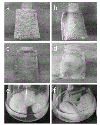Application of vascular carrier in immobilization culture of filamentous microorganisms