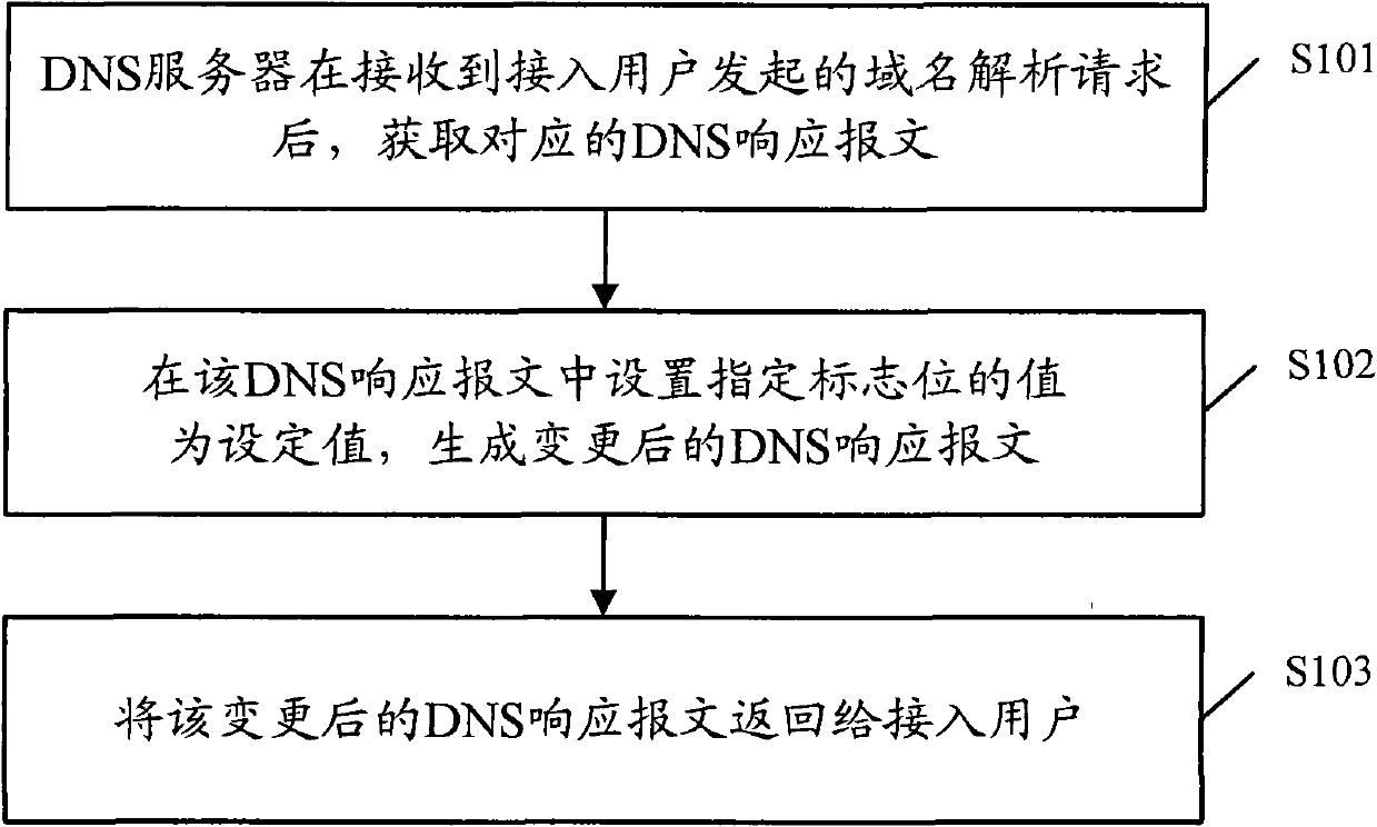 Domain name resolution method, DNS (Domain Name Server) server and system