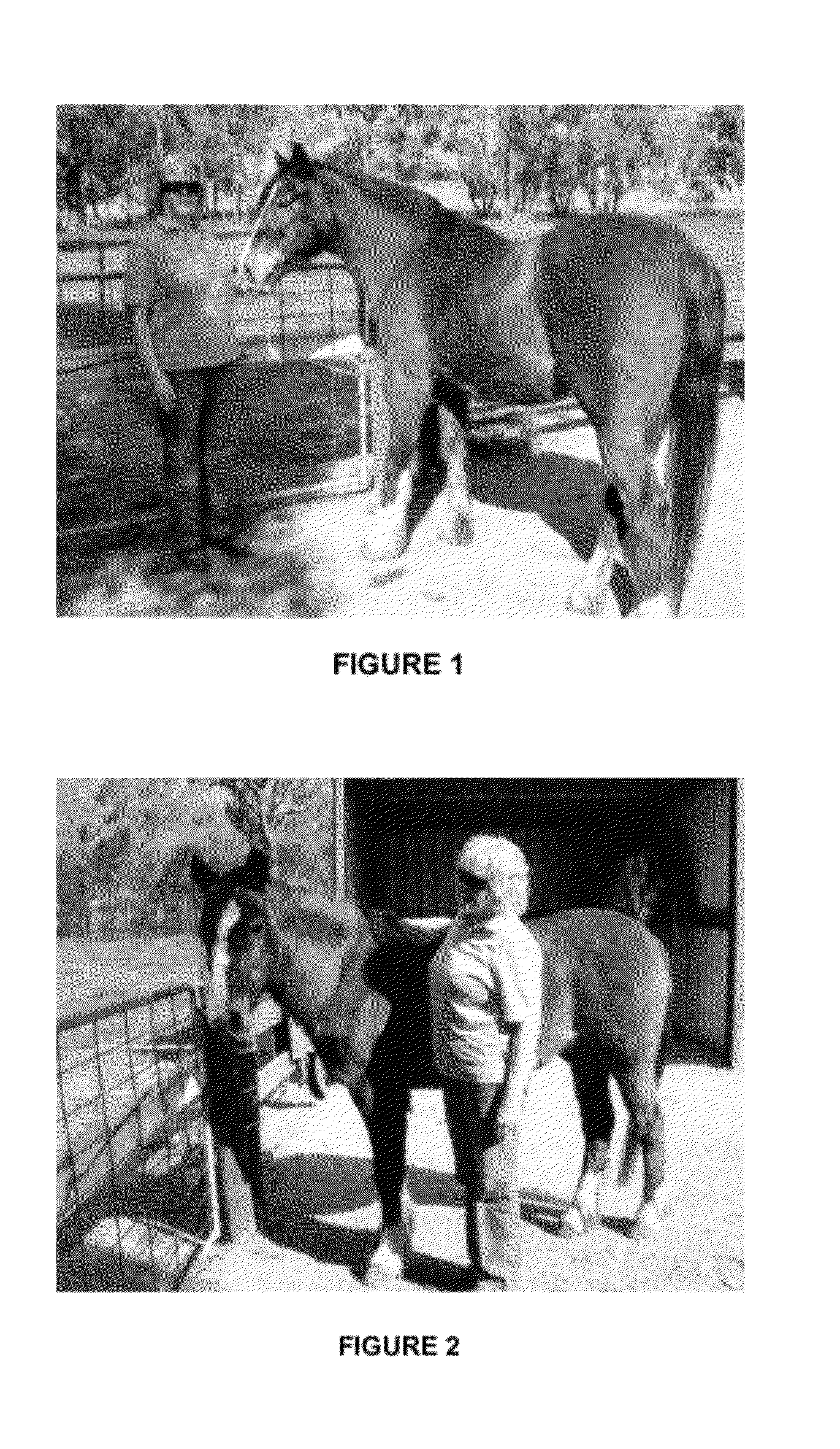 Methods and compositions for treating and preventing laminitis, founder and overeating in an ungulate