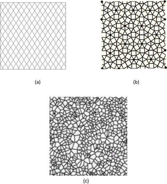 Graphene/ metal nanometer wire grid composite transparent conductive electrode and application