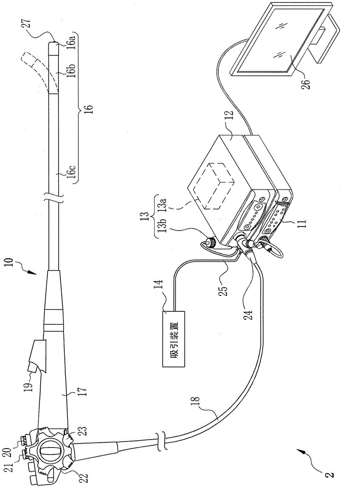 Insertion part for endoscope and endoscope