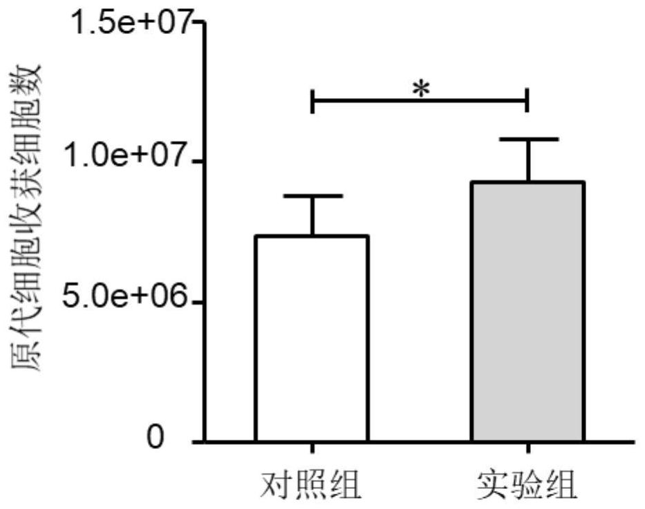 Isolating culture method and application of human umbilical cord mesenchymal stem cells