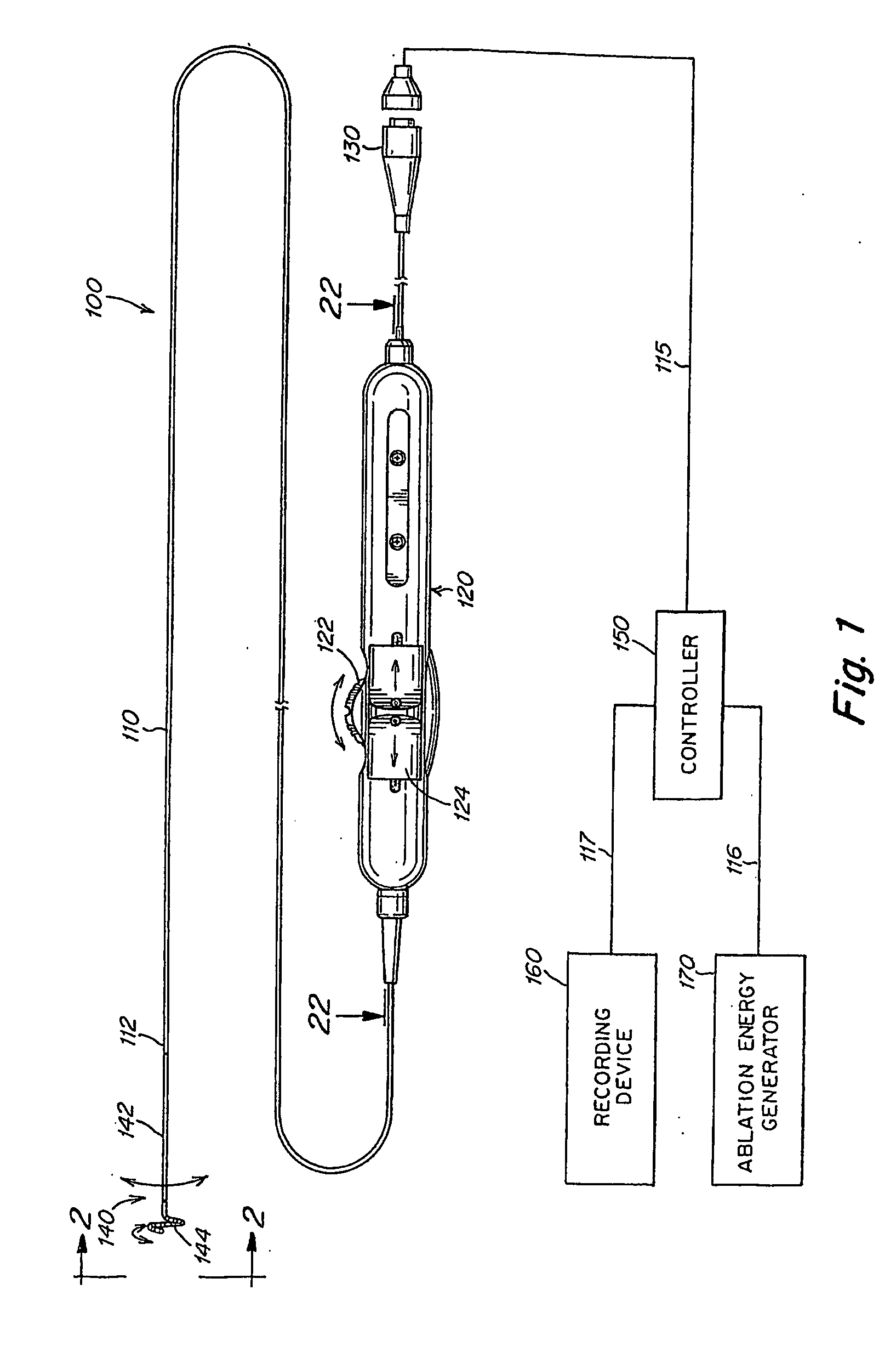 Electrophysiology loop catheter