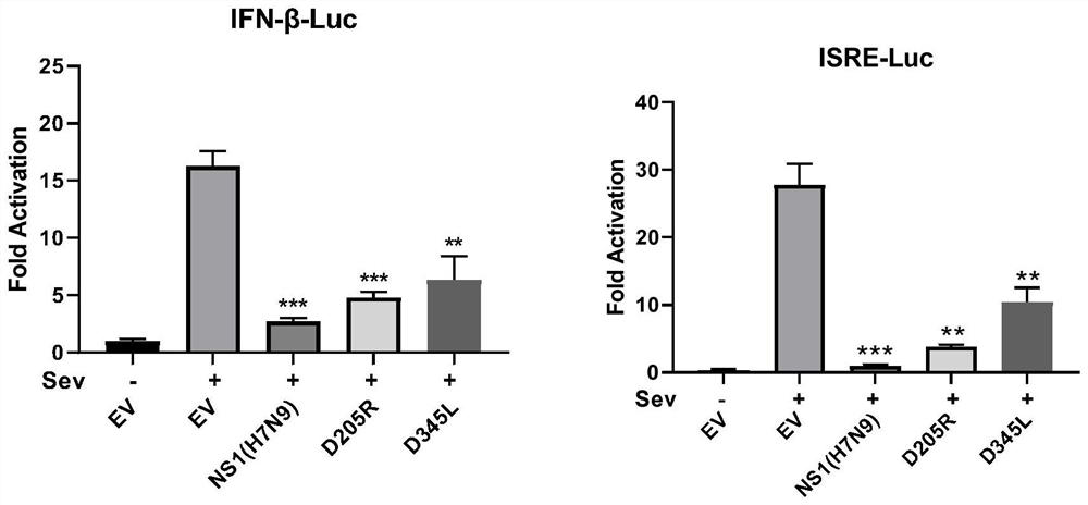 Application of African swine fever virus D205R and D345L genes