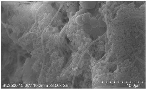 Method for relieving membrane pollution of aerobic membrane bioreactor