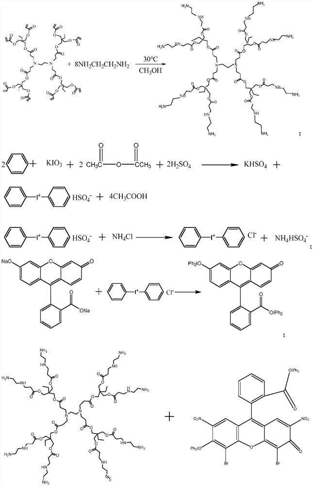 Dendritic eosin b-iodonium salt visible light initiator and its preparation method and application