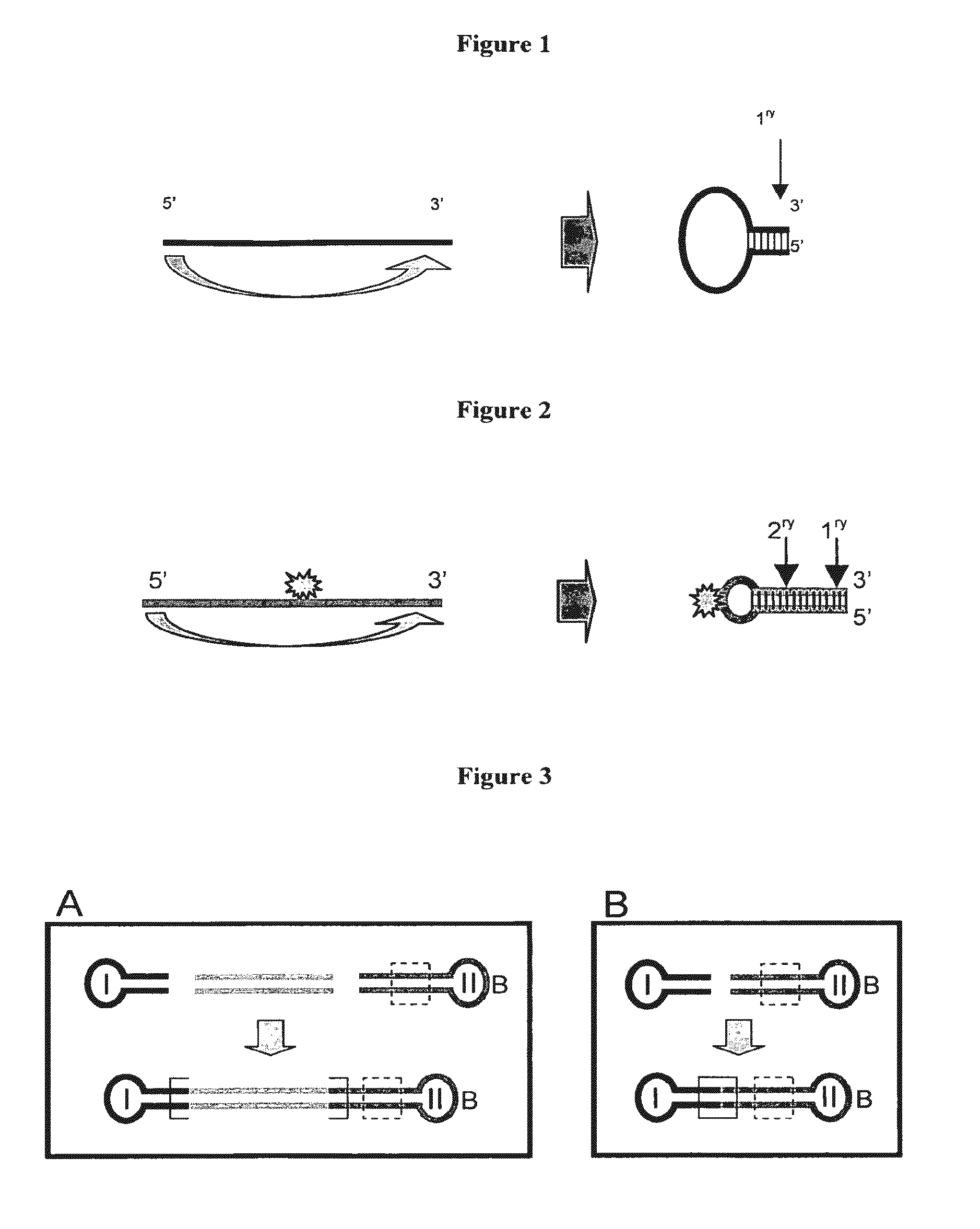 Adaptors for nucleic acid constructs in transmembrane sequencing