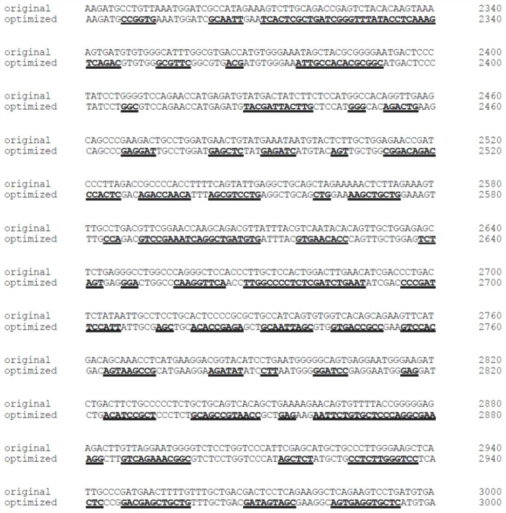 Nucleotide sequence encoding human receptor tyrosine kinase mer and application thereof