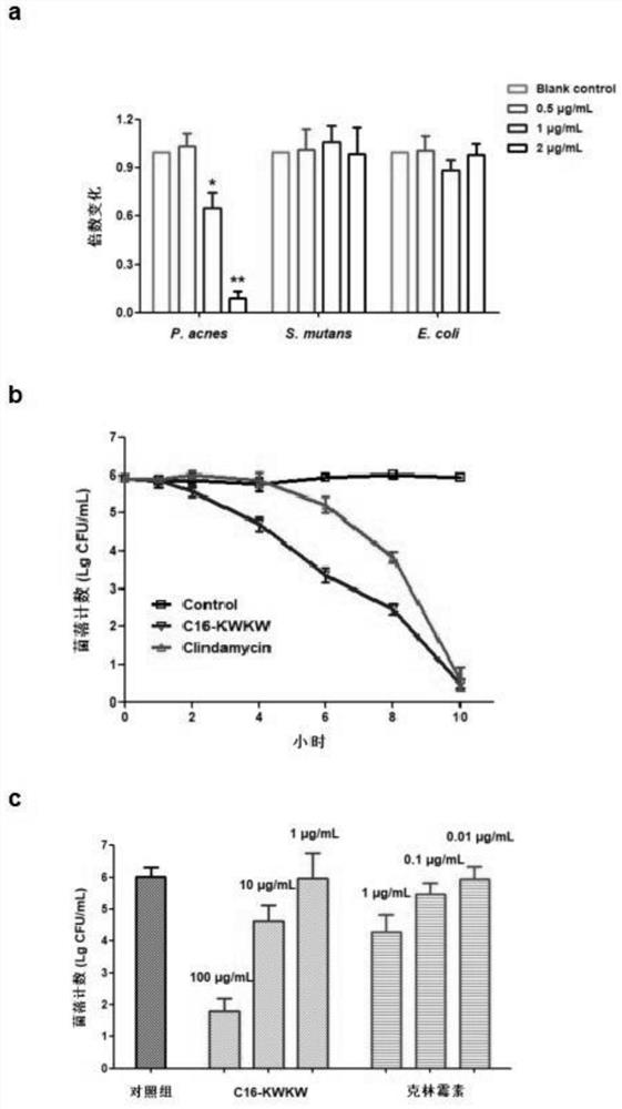 A short lipopeptide with specific anti-Propionibacterium acnes and anti-inflammatory effects