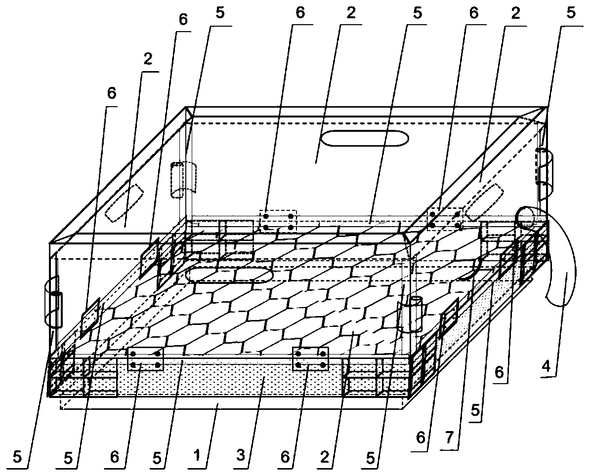 Sea turtle transport box and sea turtle transport method