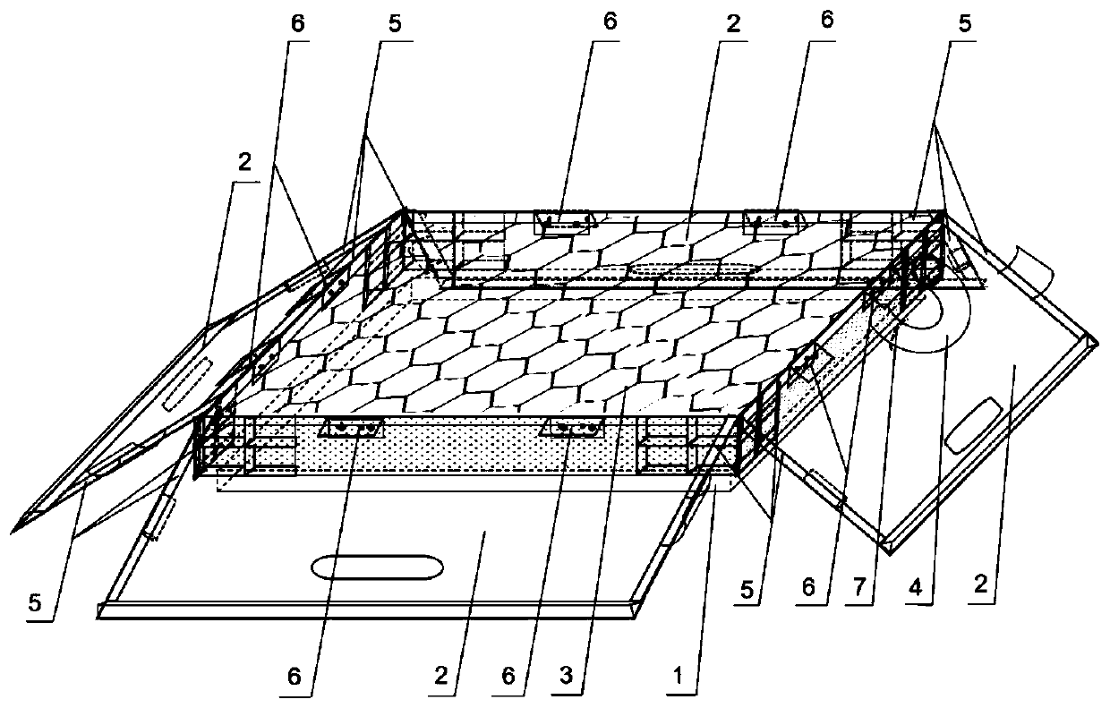 Sea turtle transport box and sea turtle transport method