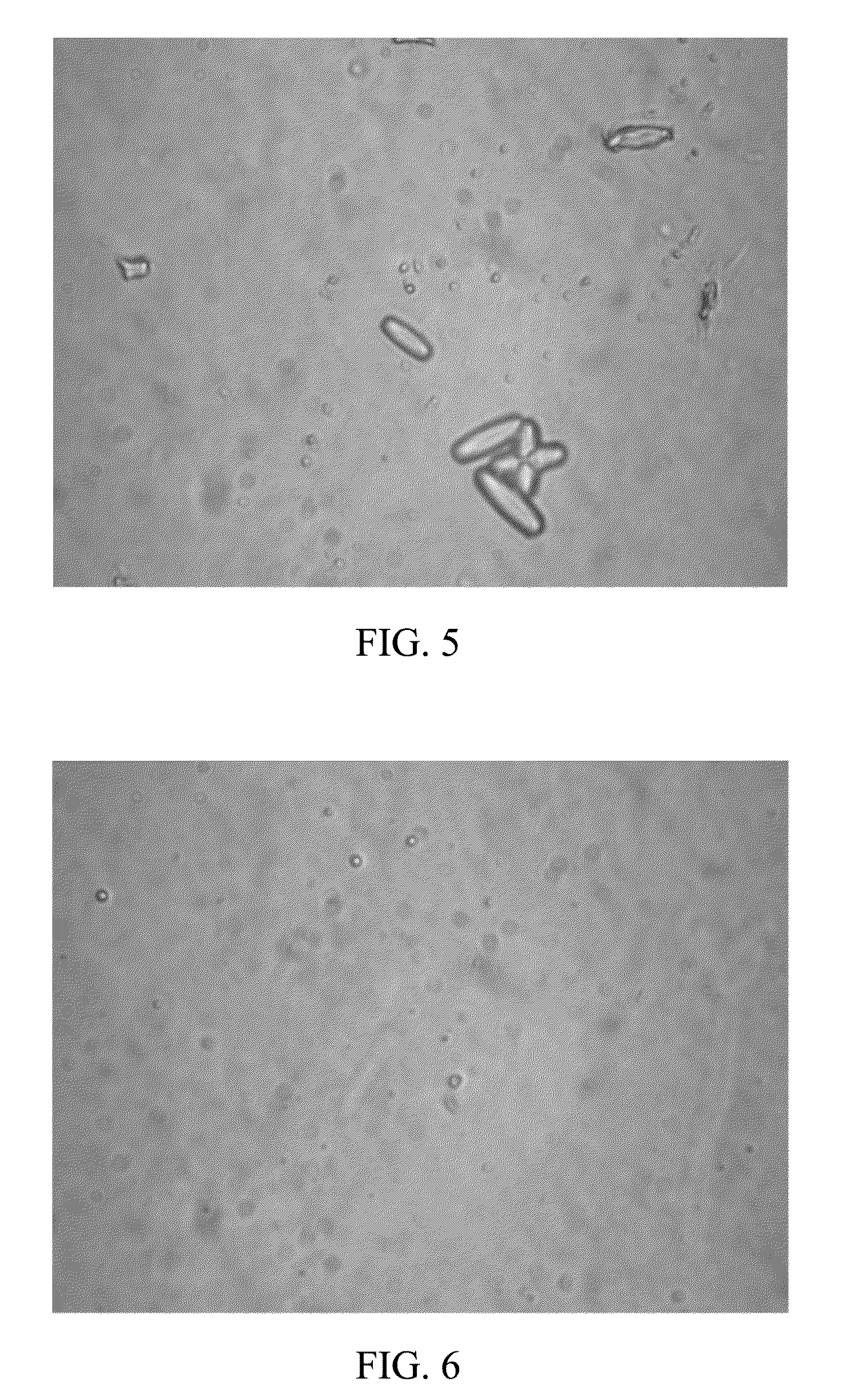 Liquid compositions of insoluble drugs and preparation methods thereof