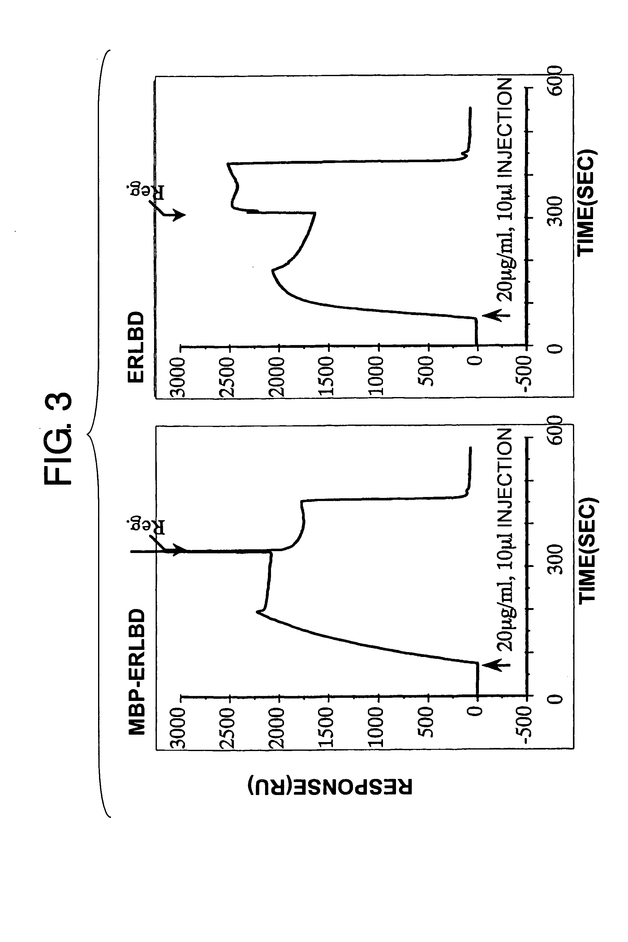 Methods for detecting binding of low-molecular-weight compound and its binding partner molecule