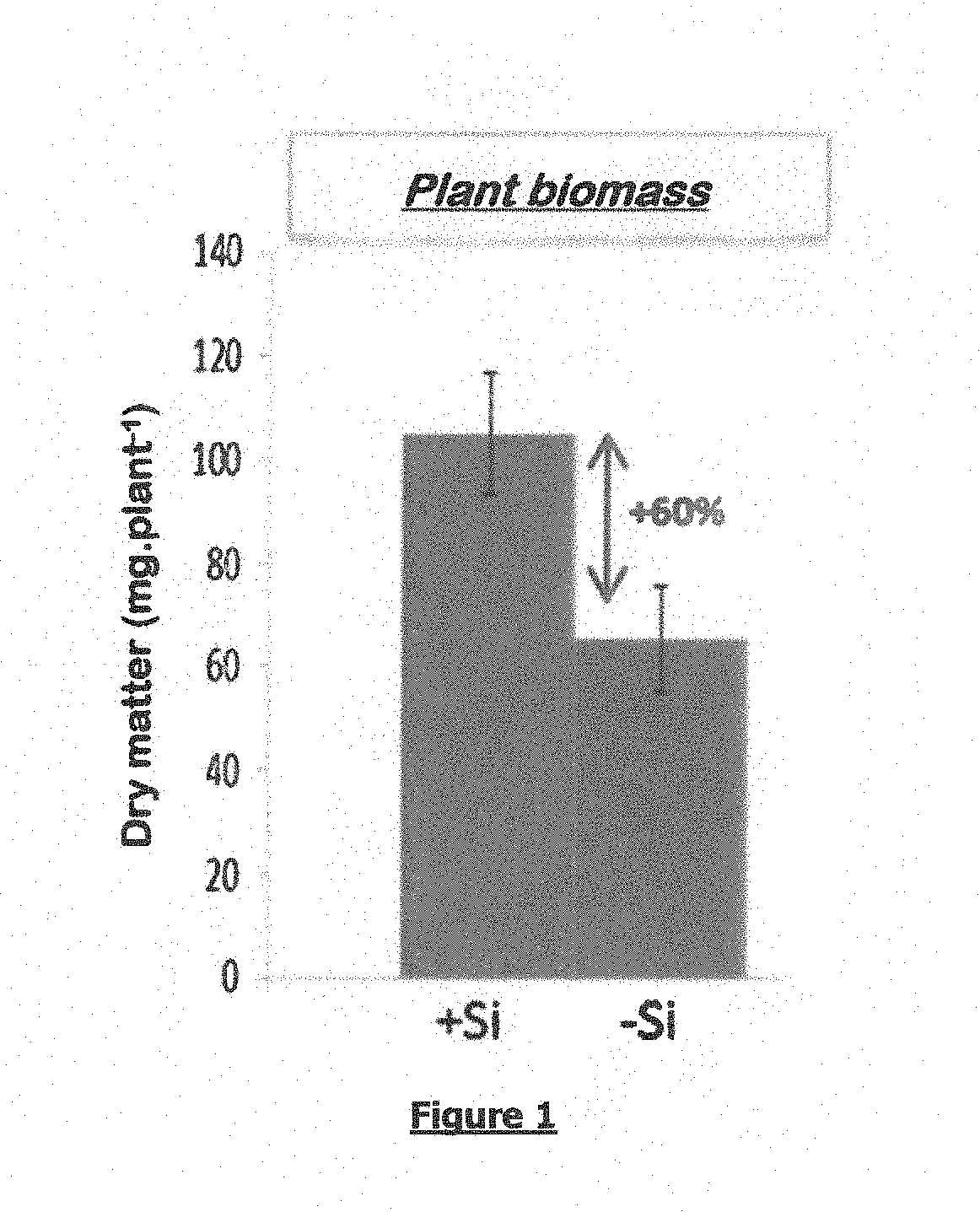 Use of Silicon as a Stimulant for Iron Absorption in a Plant