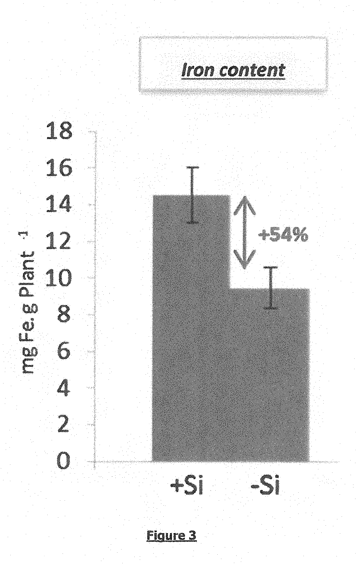 Use of Silicon as a Stimulant for Iron Absorption in a Plant