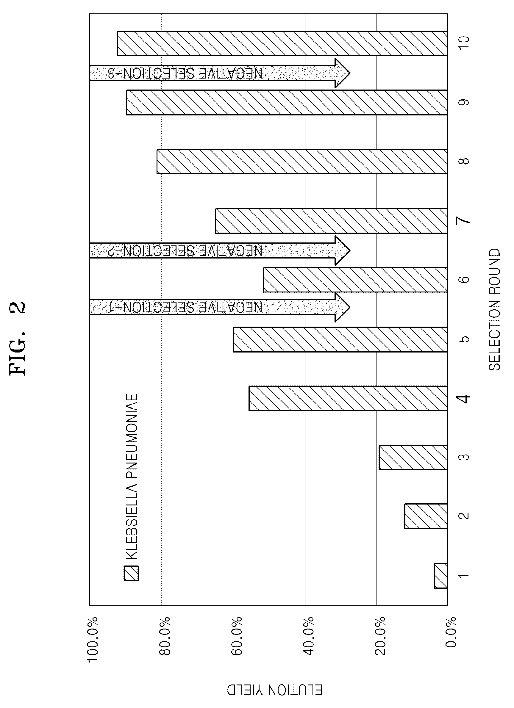 Single-stranded nucleic acid aptamers specifically binding to <i>Klebsiella pneumoniae </i>and method for detecting <i>K. pneumonia </i>using the same