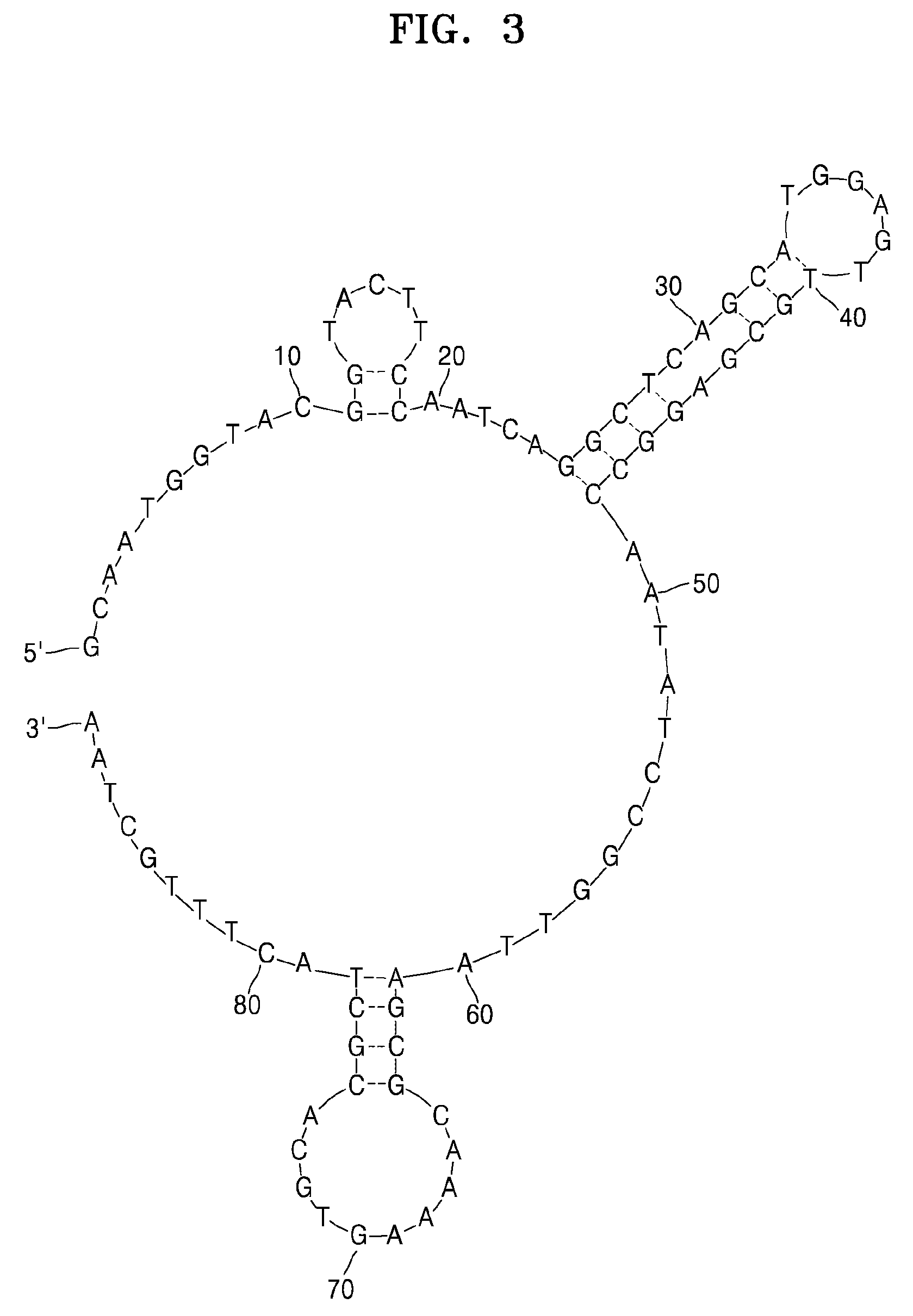 Single-stranded nucleic acid aptamers specifically binding to <i>Klebsiella pneumoniae </i>and method for detecting <i>K. pneumonia </i>using the same