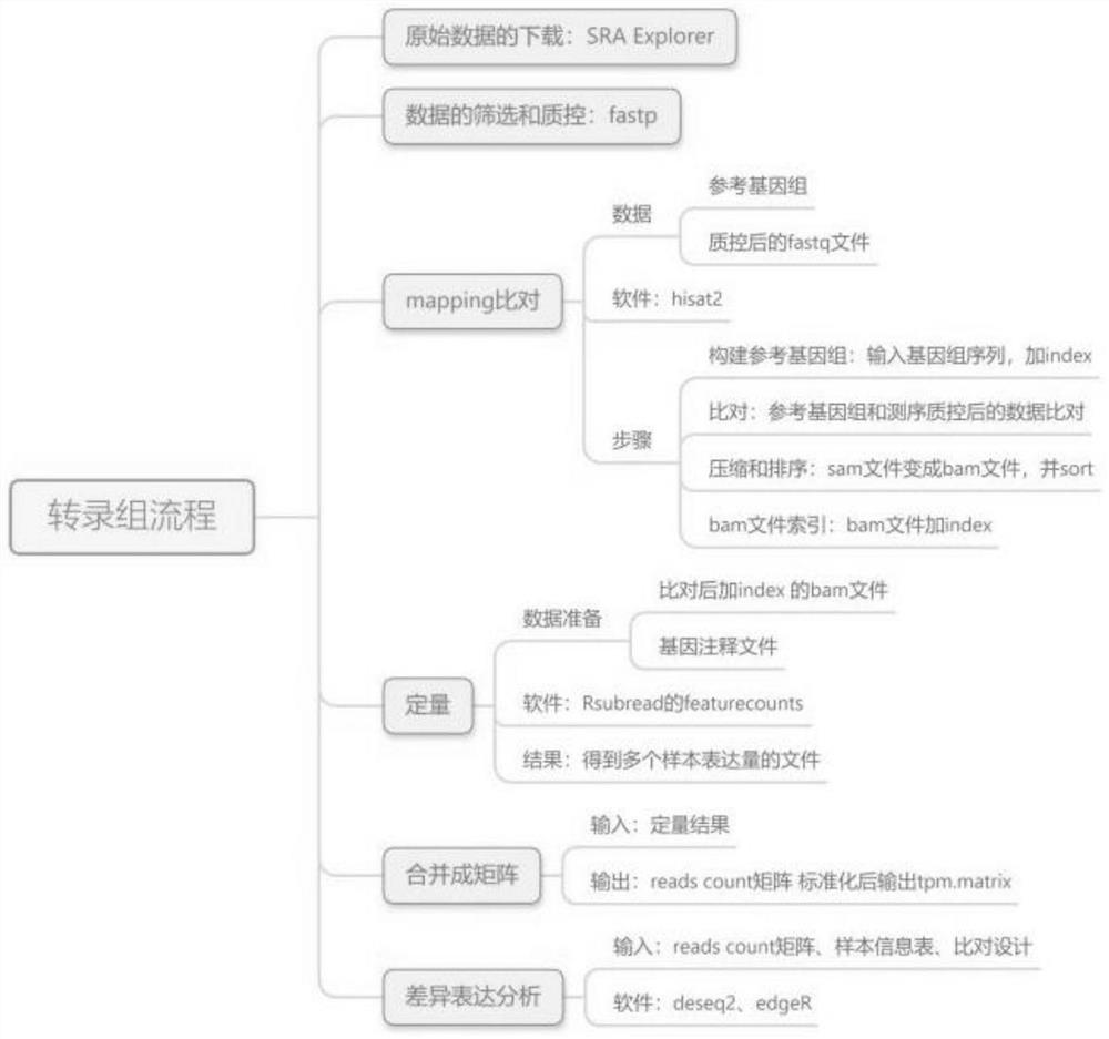 Gene data processing progress display method and storage equipment