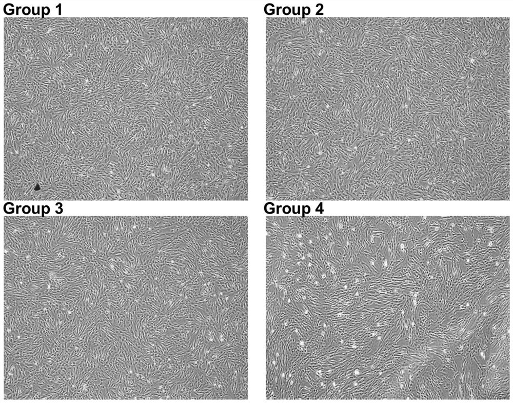 Culture method of cd200+ subpopulation umbilical cord mesenchymal stem cells and medium used therefor