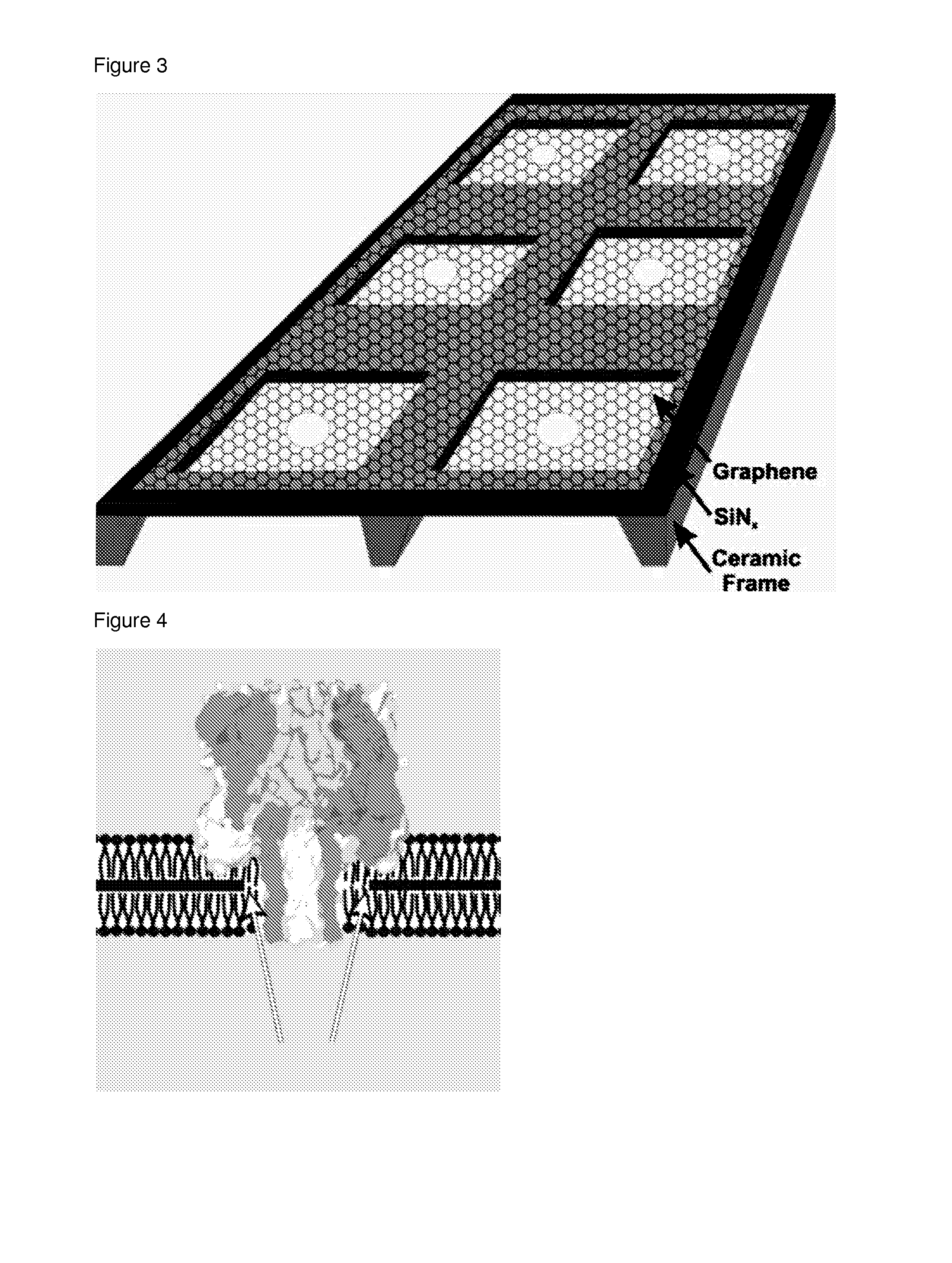 Graphene supported artificial membranes and uses thereof