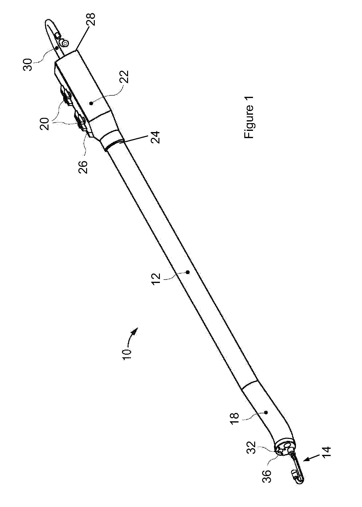 Endoscope assembly with a polarizing filter