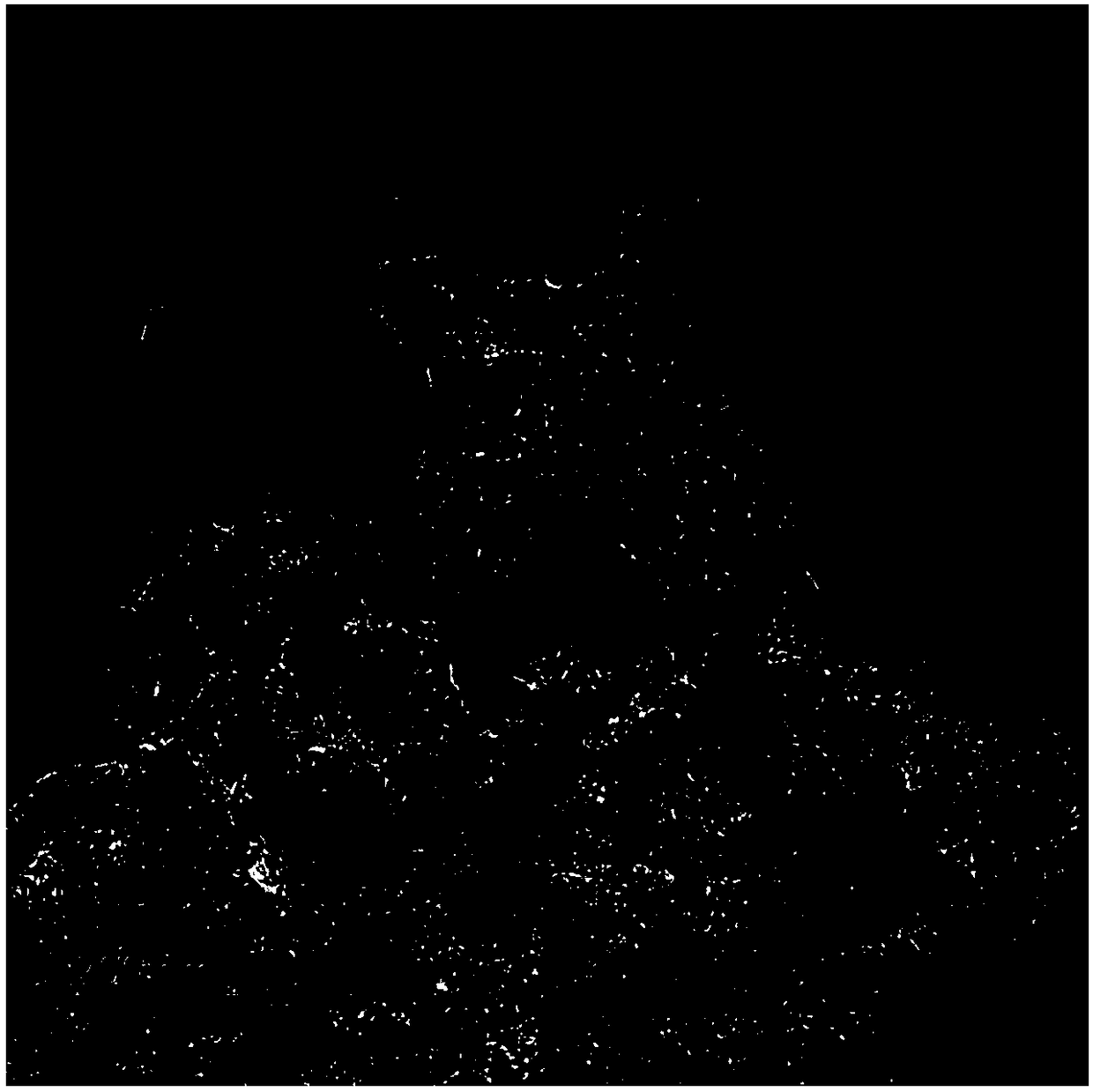 Mesoporous silica gel loaded with nanoparticles of Prussian blue and analogues thereof, and preparation and application thereof