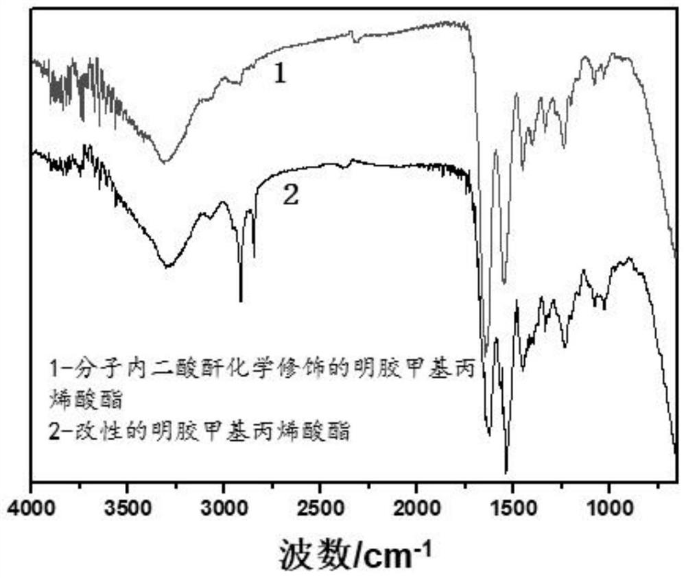 Modification method of gelatin