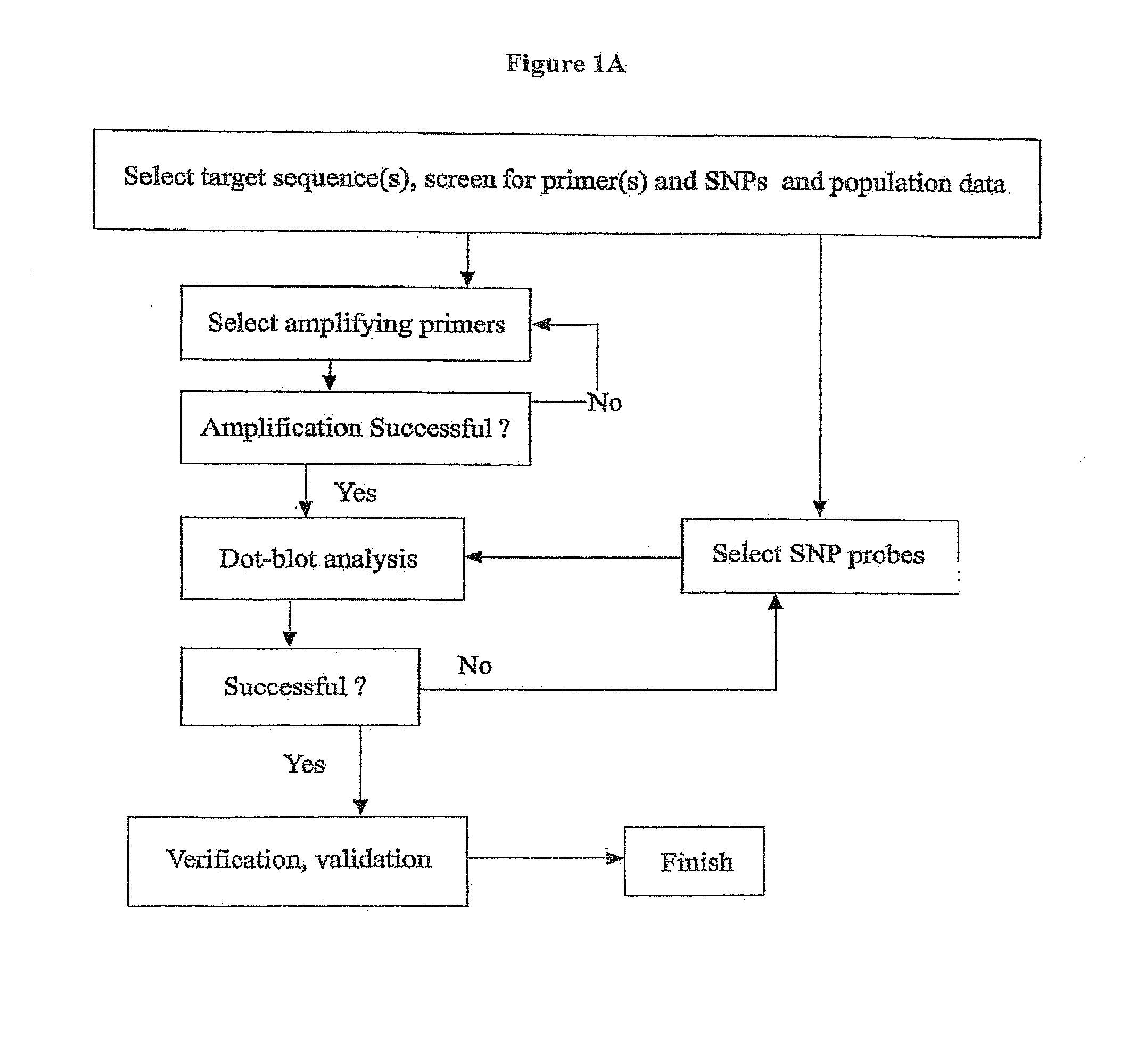 Rapid Genotyping Analysis and the Method Thereof