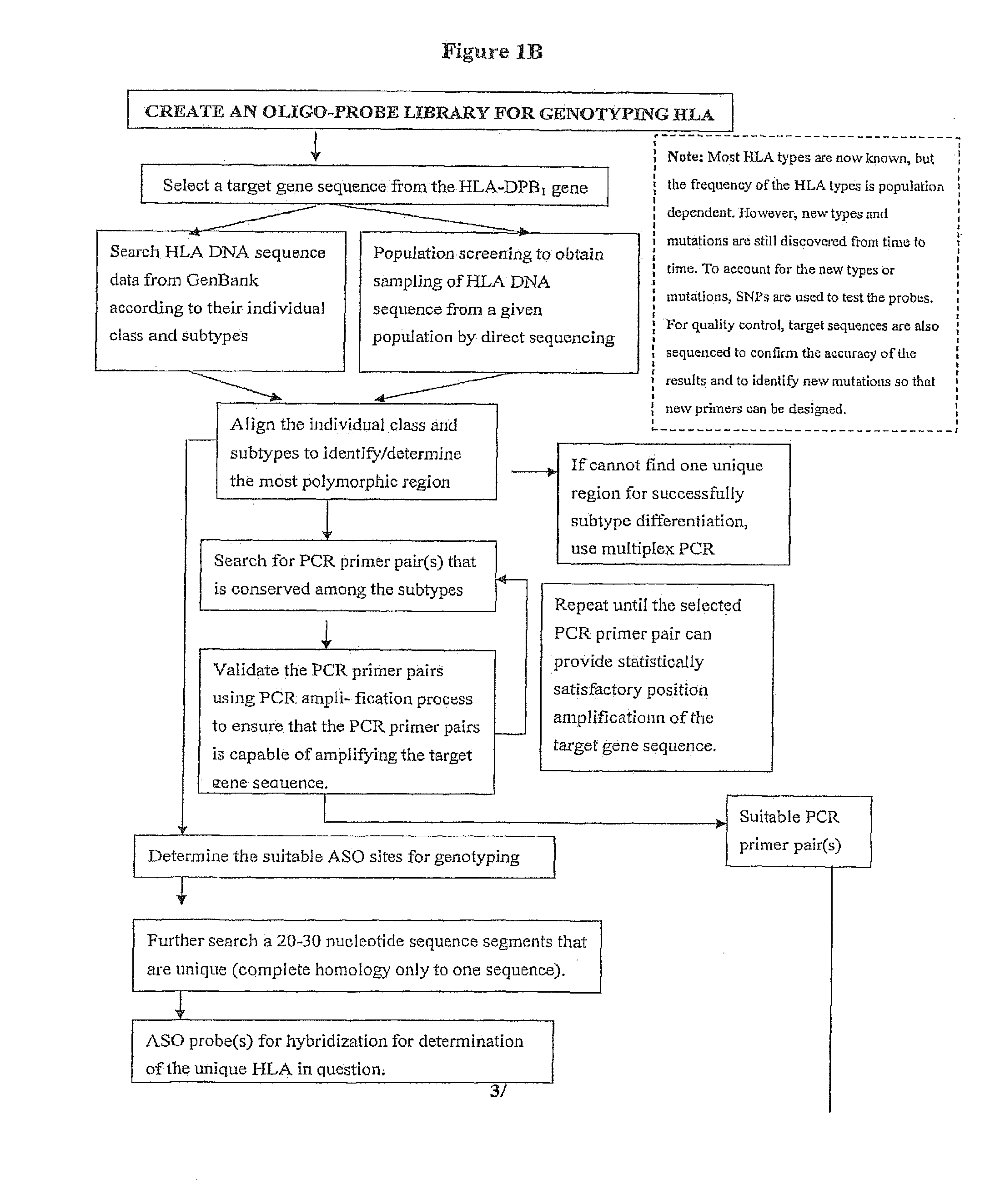 Rapid Genotyping Analysis and the Method Thereof