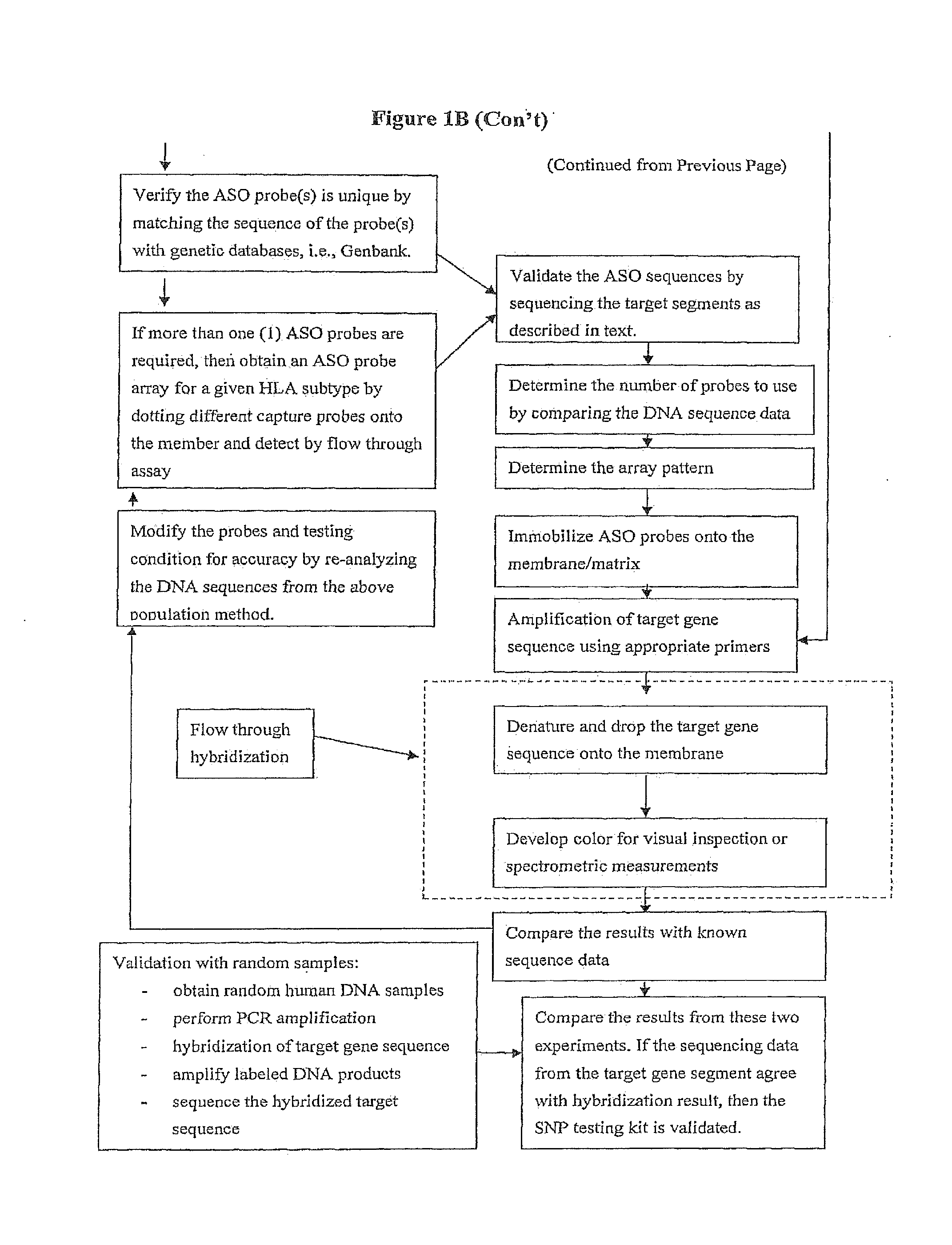 Rapid Genotyping Analysis and the Method Thereof