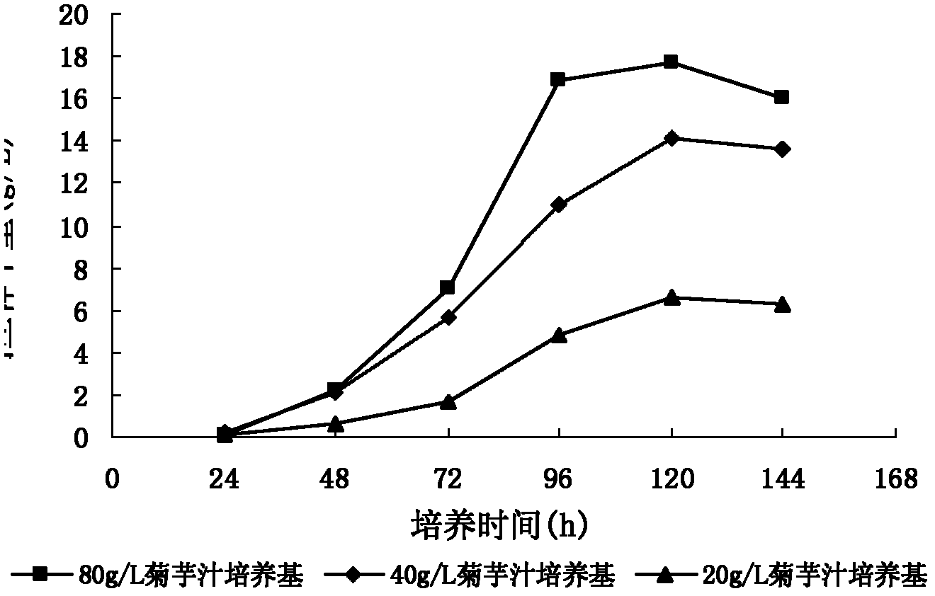 Method of culturing coriolus versicolor-induced oxalate decarboxylase through jerusalem artichoke carbon source