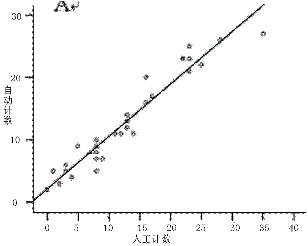 Method for establishing and detecting mouse cough model