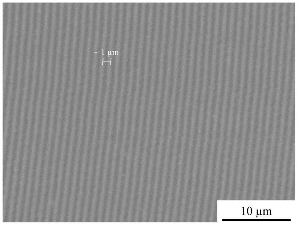 Method for preparing micro-nano periodic structures on the surface of amorphous alloys by nanosecond laser irradiation