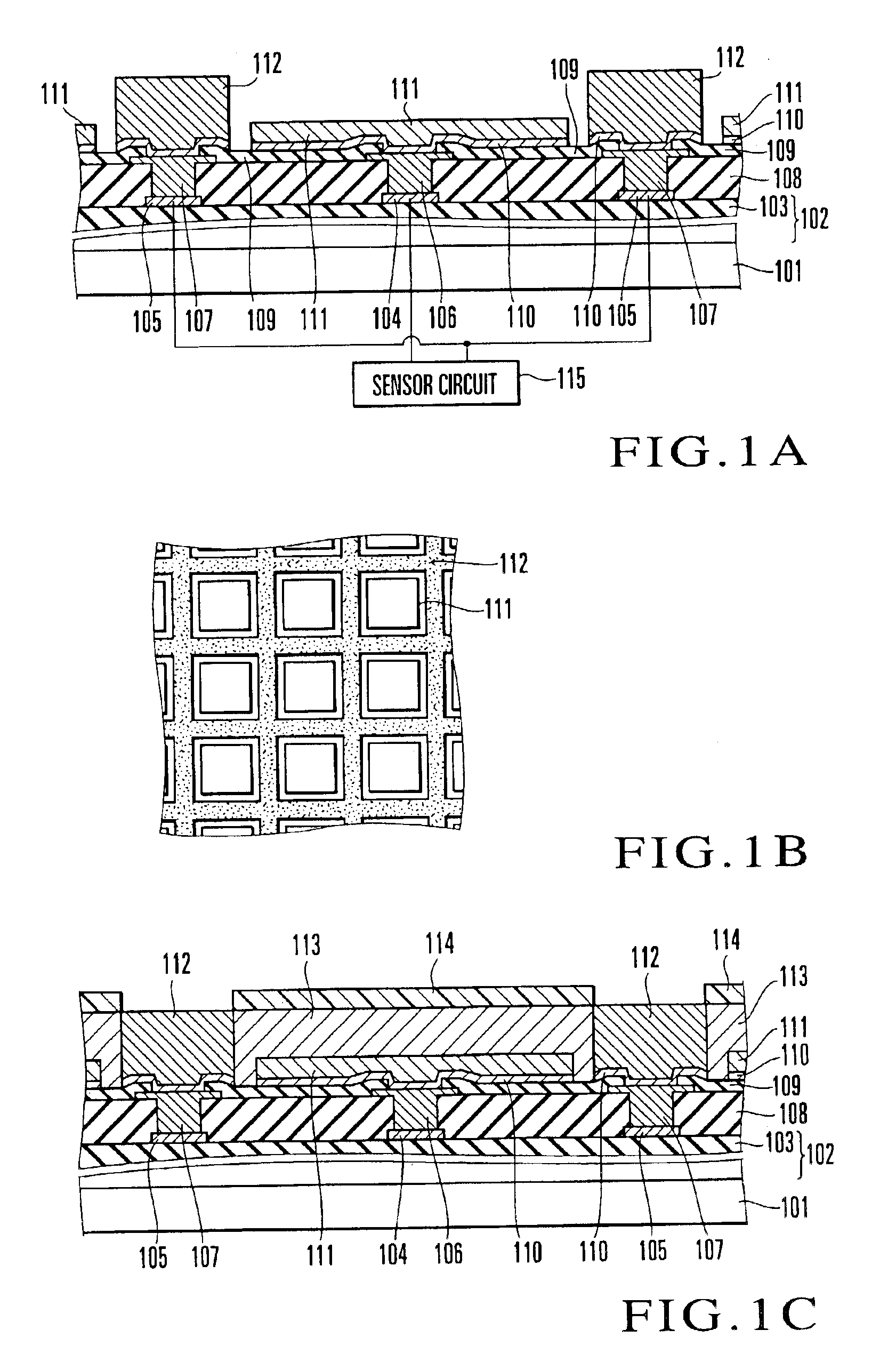 Surface shape recognition sensor and method of manufacturing the same