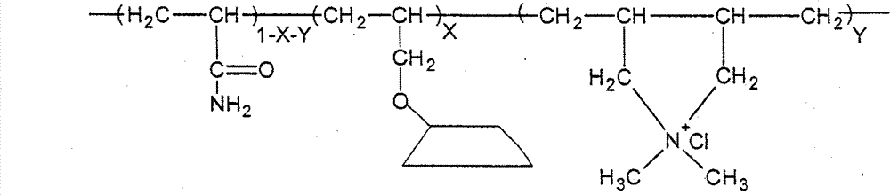 AM (Acrylamide)/DMDAAC (Dimethyl Diallyl Ammonium Chloride)/cyclodextrin polymer filtrate reducer and preparation method thereof