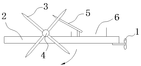 Water lettuce cleaning machine