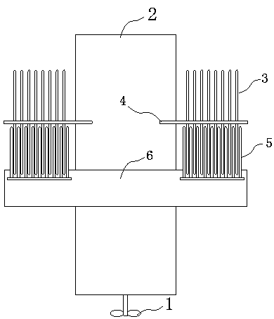 Water lettuce cleaning machine