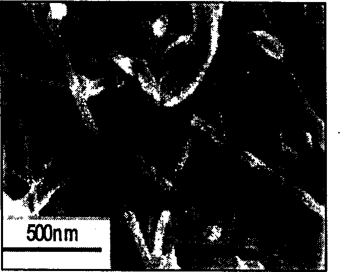 Process for preparing boron nitride nano tube