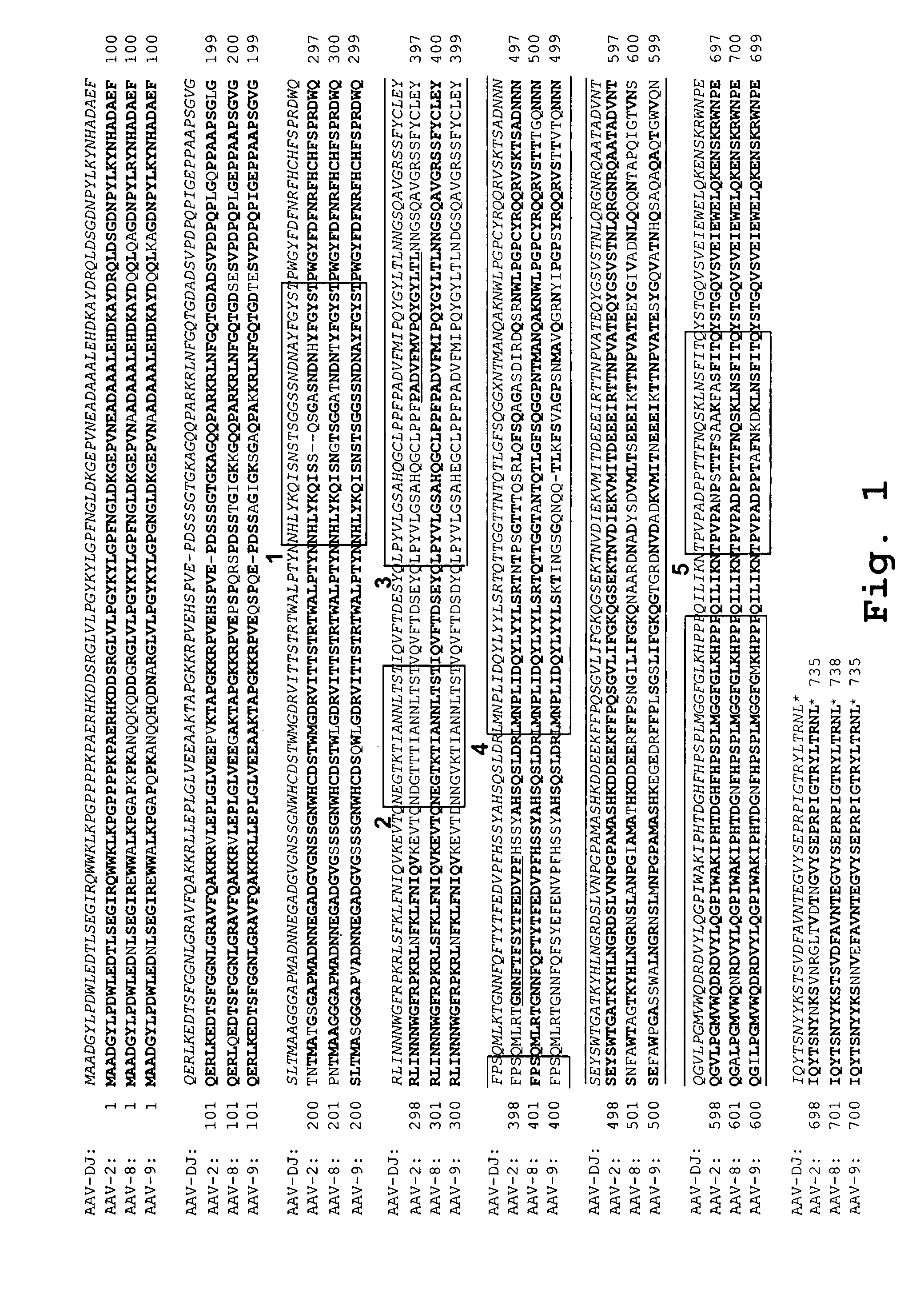 AAV capsid library and AAV capsid proteins