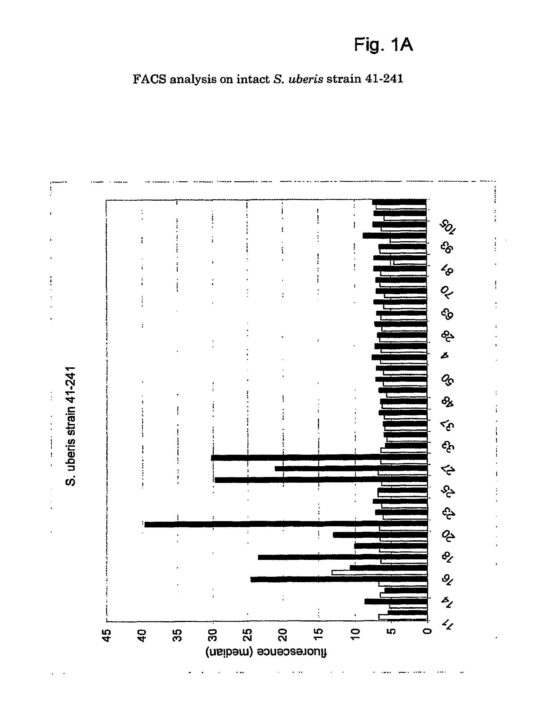 Immunogenic streptococcus proteins