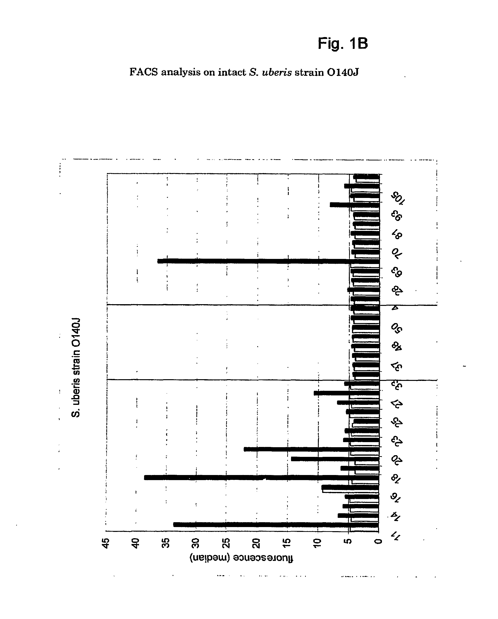 Immunogenic streptococcus proteins