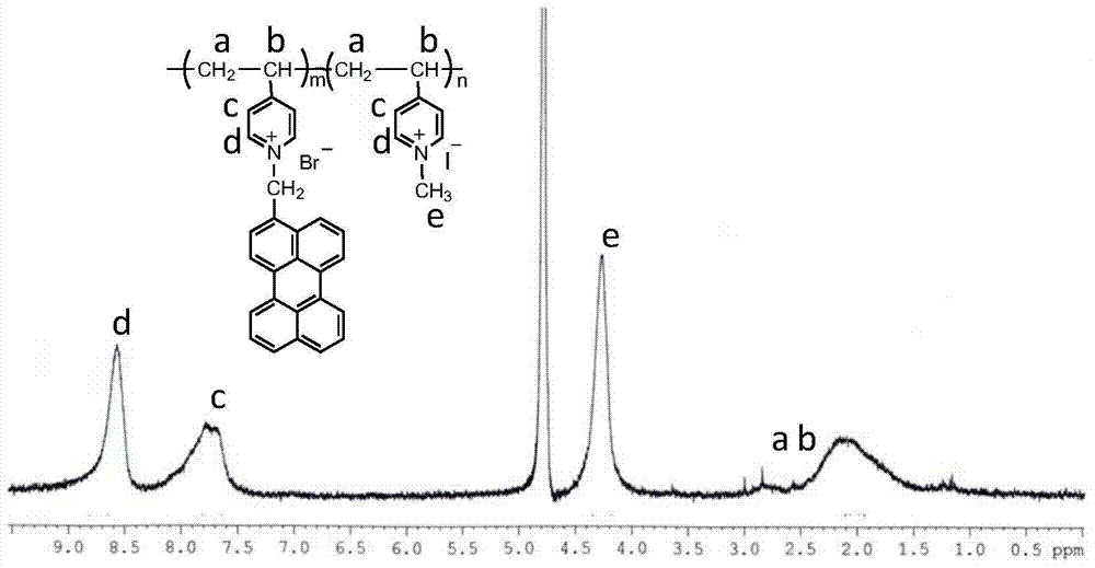 Perylene grafted poly (4-vinylpyridine), synthesis thereof and preparation of fluorescent probe