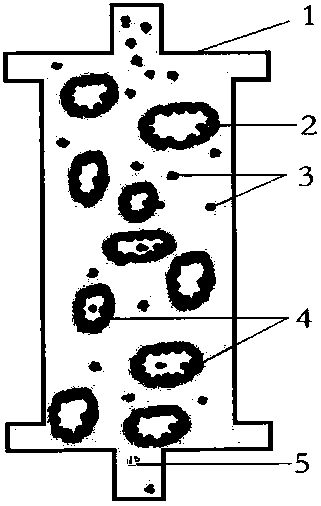 hiv phagocytosis