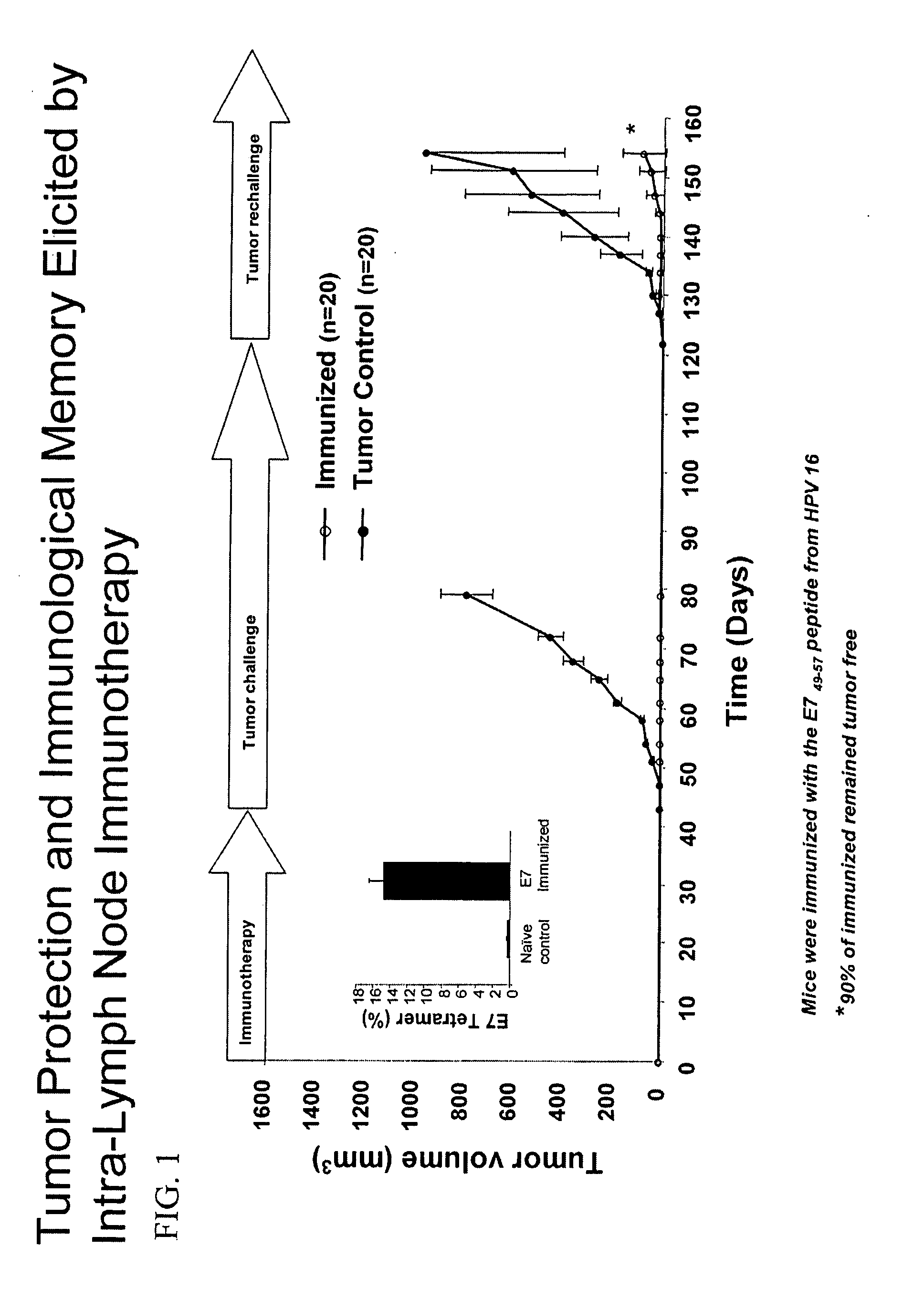 Methods to elicit, enhance and sustain immune responses against MHC class I-restricted epitopes, for prophylactic and therapeutic purposes