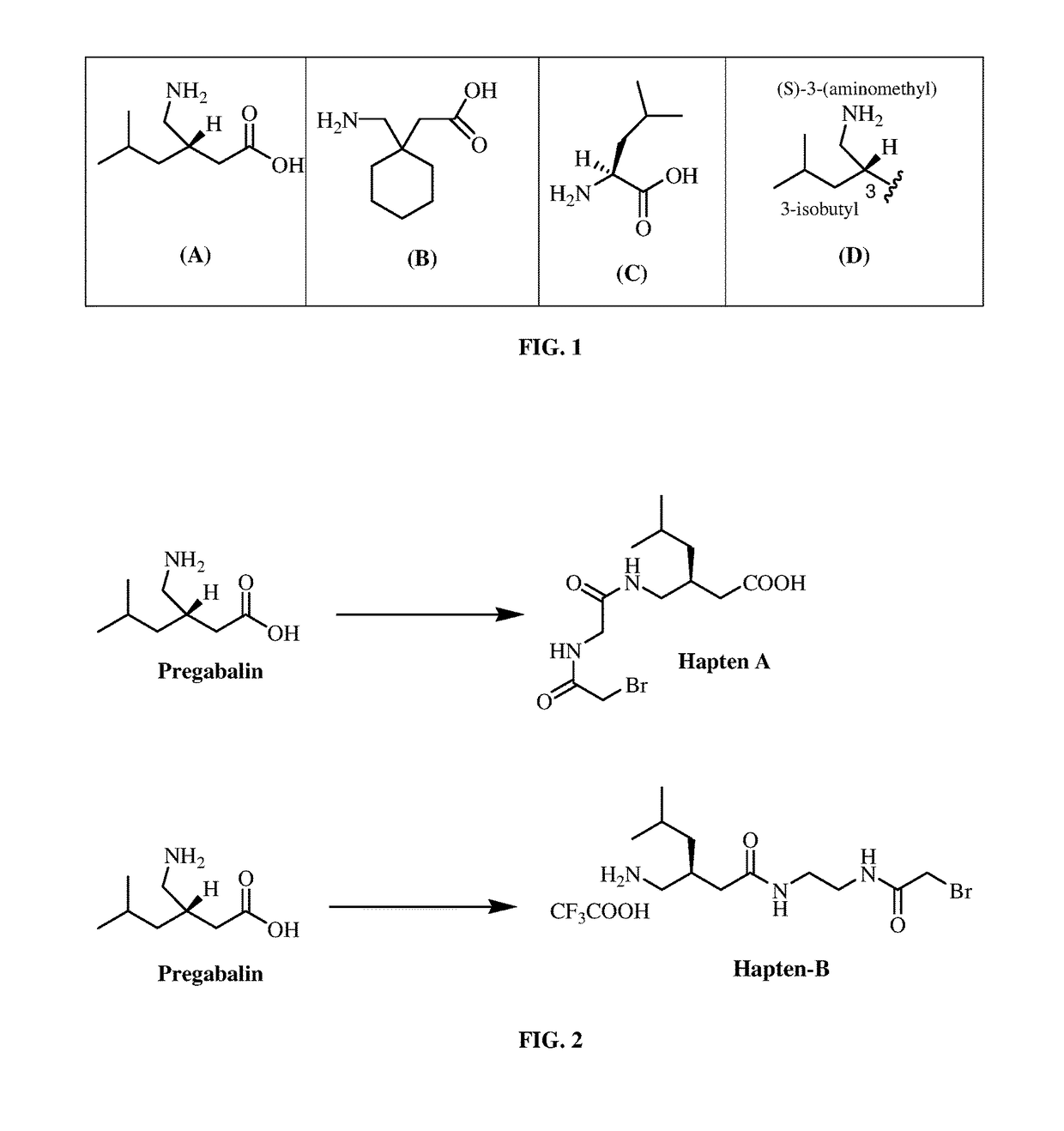 Pregabalin immunoassays