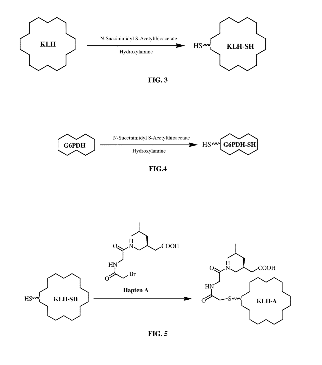 Pregabalin immunoassays