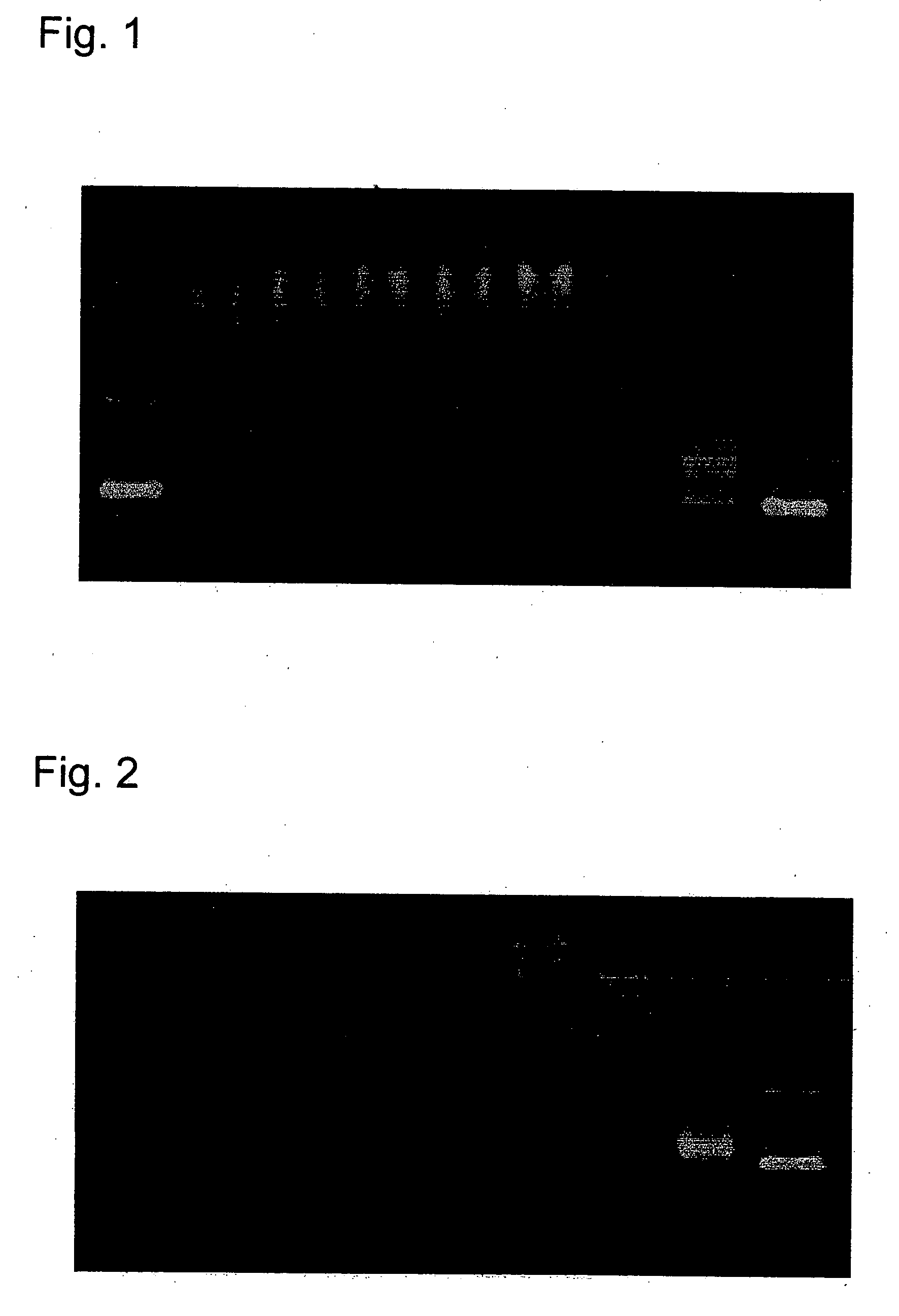 Polyethylene glycol/polycation block copolymers