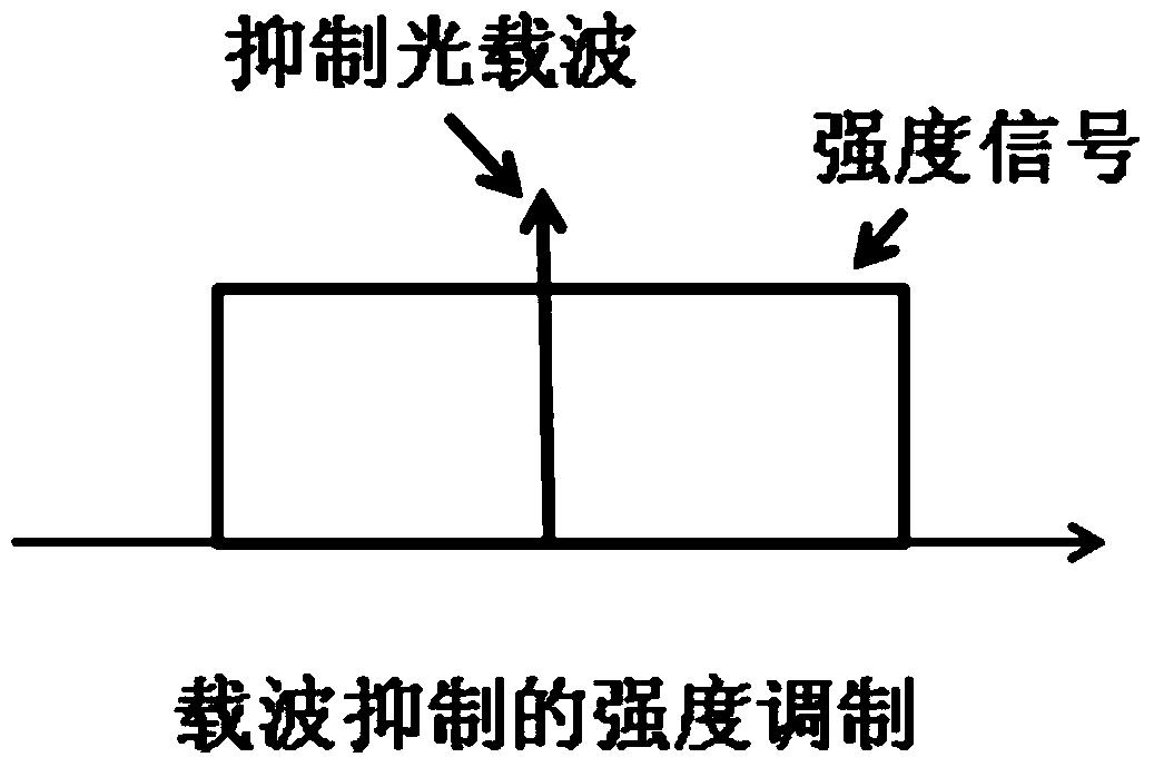 Digital carrier regeneration system and method based on coherent detection and digital signal processing