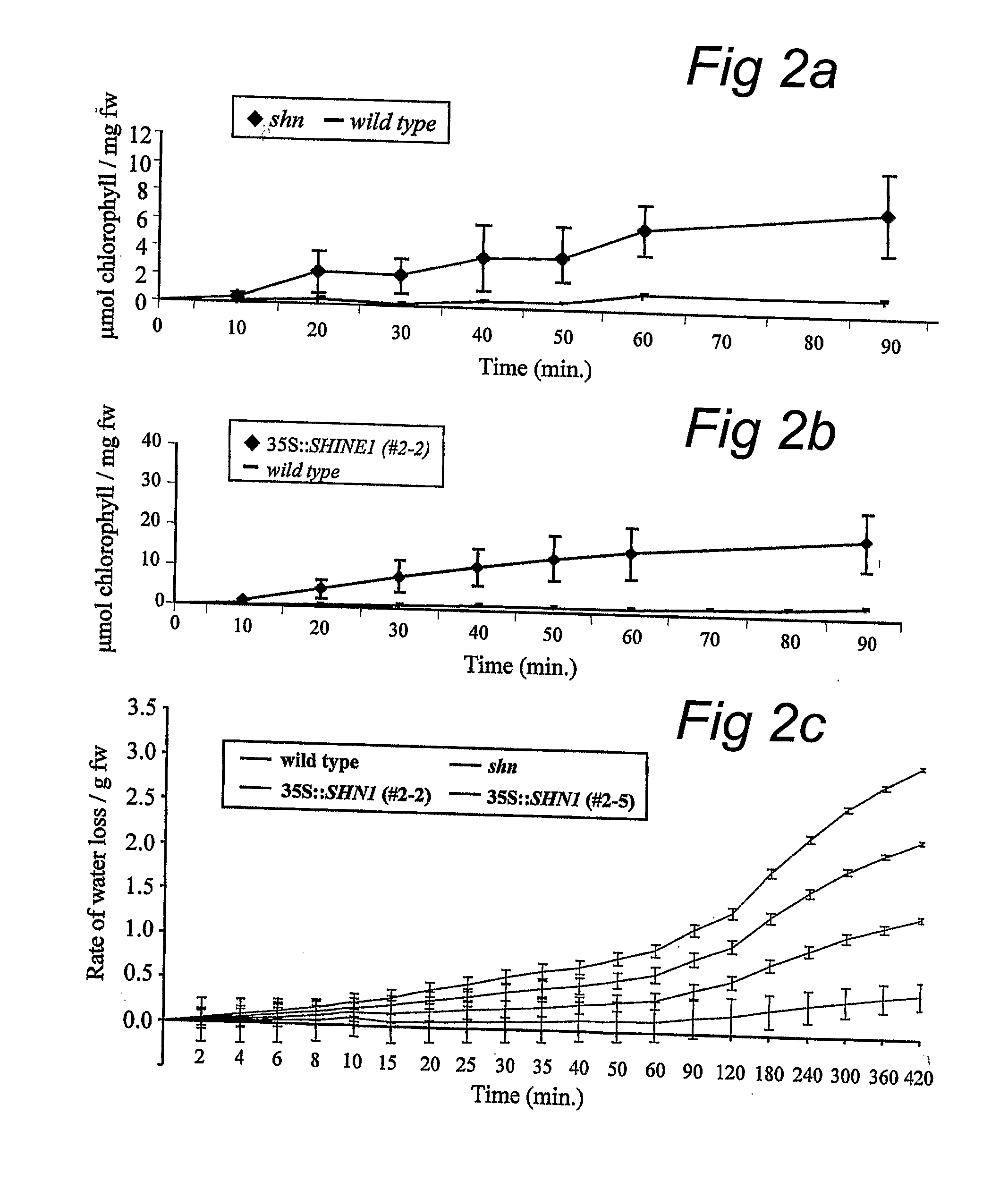 Shine clade of transcription factors and their use